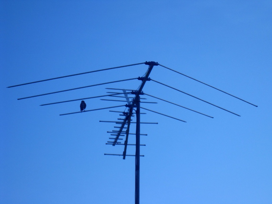 W Polsce ponad 2,5 mln osób z zarejestrowanymi odbiornikami zalega za abonament RTV. Fot. Katy Warner/flickr.com (CC BY-SA 2.0) Zaległy abonament RTV. Nie zawsze musimy płacić?