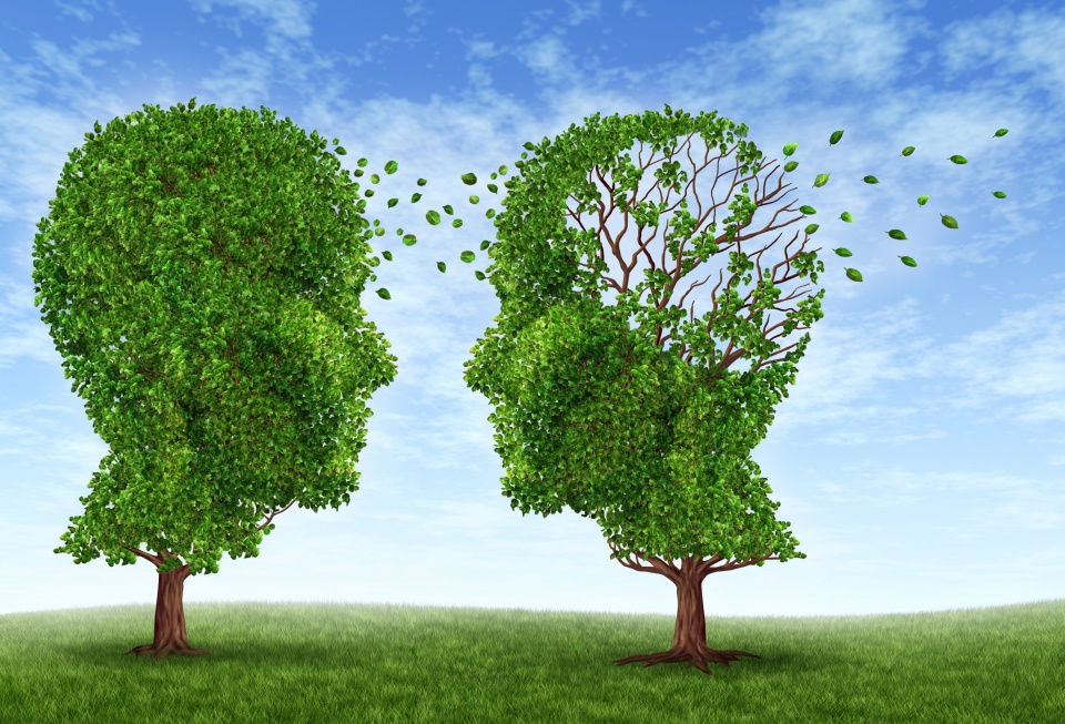 Choroba Alzheimera: przeanalizują głos 10 tys. polskich seniorów i wytypują zagrożonych