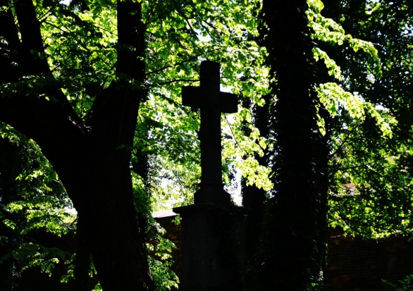 Dzięki akcji "Mogiłę pradziada ocal od zapomnienia" odnaleziono ponad 100 tys. polskich grobów