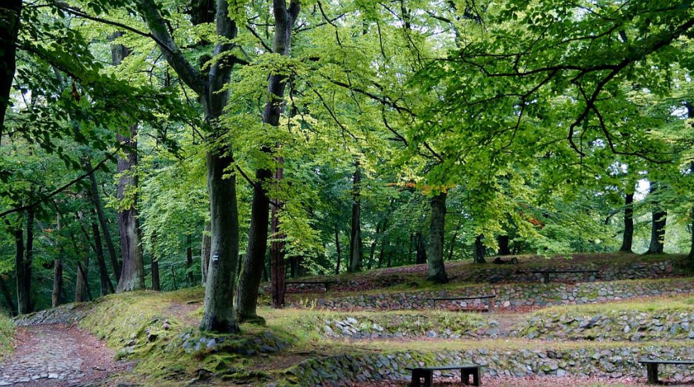 Bażantarnia w Elblągu. Fot. mat. prasowe Nordic walking: poznaj 7 najpiękniejszych polskich tras