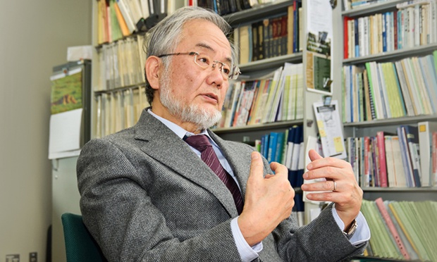 Medyczny Nobel dla Japończyka. Odkrycie pomoże w pokonaniu raka?