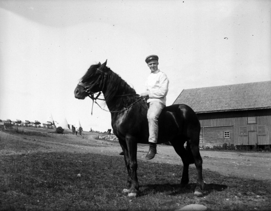 Roszczenie za konia przekazanego wojsku w 1939 roku - przedawnione