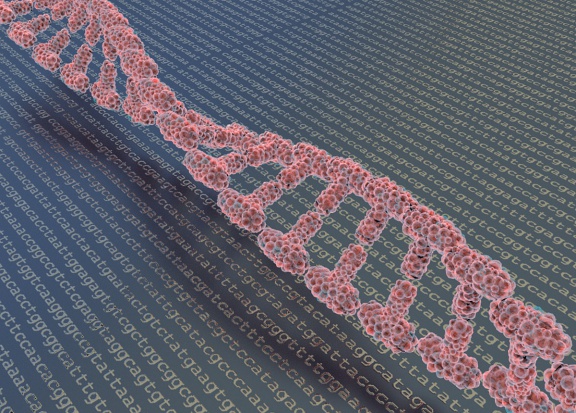 Komputer DNA sam ma dawkować leki. Skorzystają m.in. cierpiący na reumatyzm